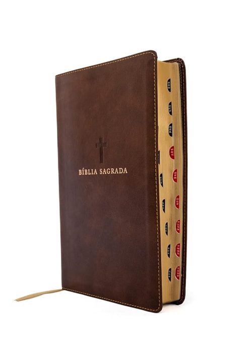 61xebx5nt4L._SL1500_