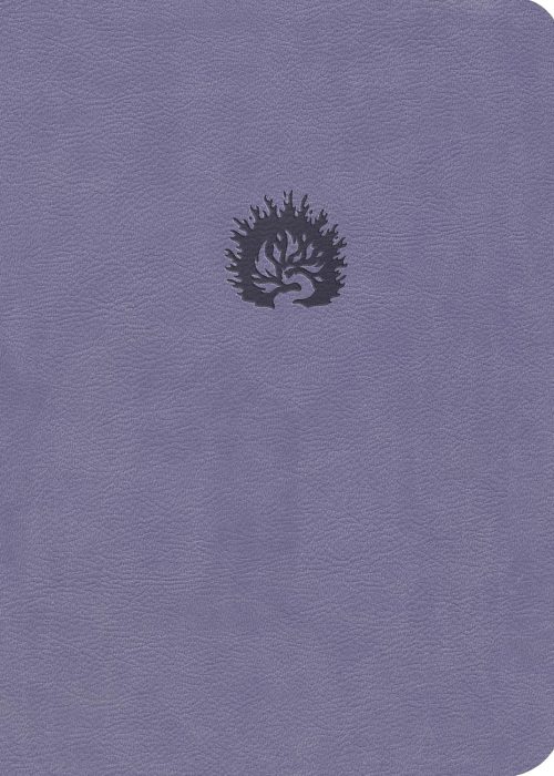 911-f+0AlqL._SL1500_